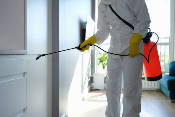 Best Mold Removal for HVAC Installations  in Warm Springs, CA