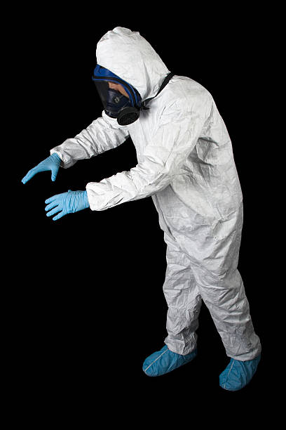  Warm Springs, CA Mold Removal Pros