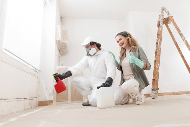 Best Emergency Mold Remediation  in Warm Springs, CA