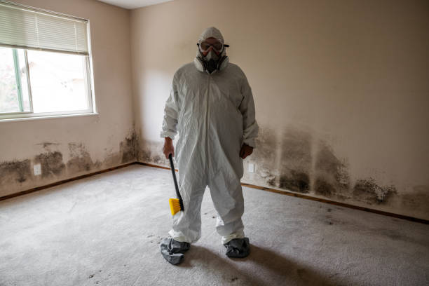 Best Post-Construction Mold Inspection  in Warm Springs, CA